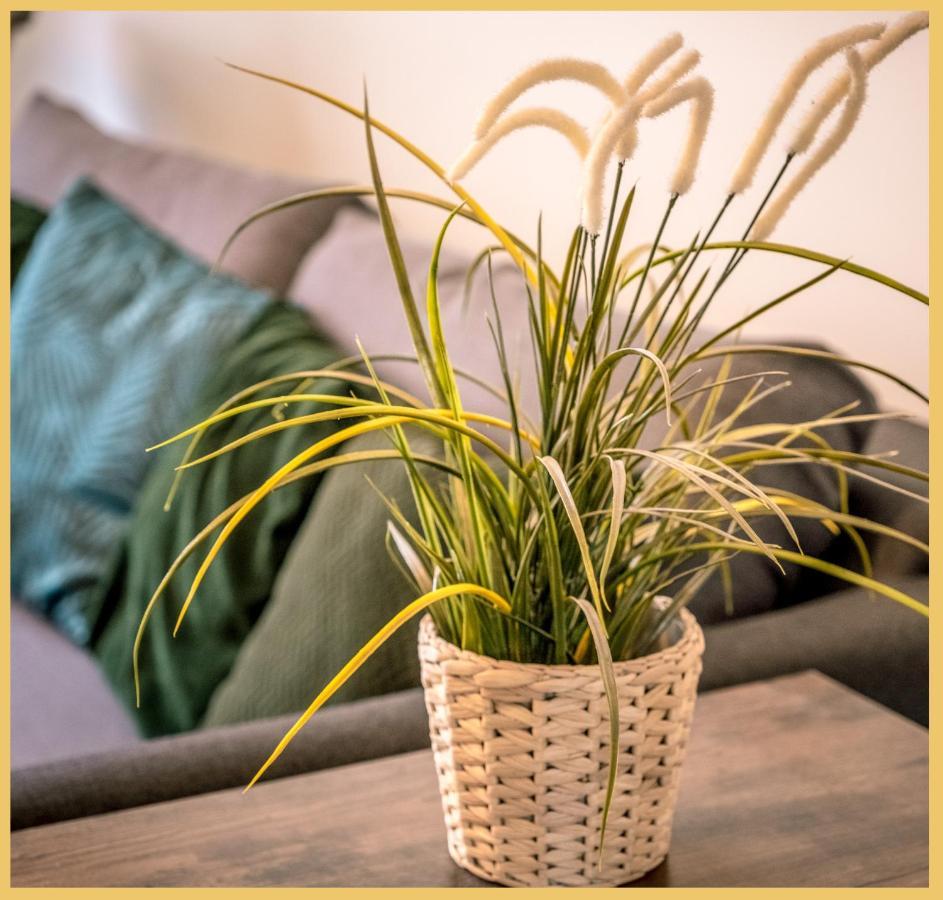 Appartement T3 I Cozy I 杜韦讷 外观 照片